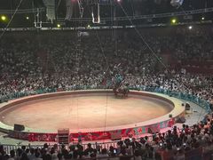 -俄罗斯国家大马戏团