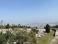 -原山国家森林公园