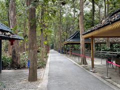 -中国科学院西双版纳热带植物园