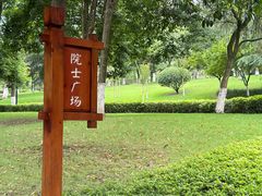 -龙头寺公园