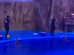 -华夏文旅海洋公园