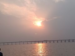 -宝安西湾红树林湿地公园