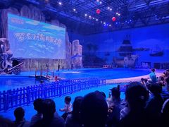 -华夏文旅海洋公园