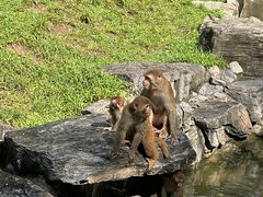 -北京野生动物园