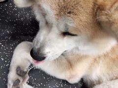 -YCHL Studios健身工作室(市二宫店)