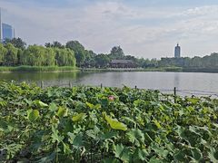 -西海子公园