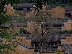 -杨家堂村