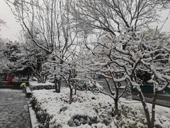 -牛村来人潮汕牛肉火锅(西单店)