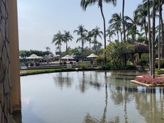 -亚龙湾希尔顿自助餐厅·海鲜·烧烤·沙滩BBQ·现场乐队