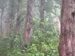 -东白山