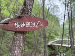 -峡谷浮石林景区