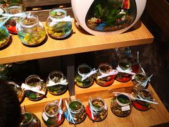 -酷乐潮玩(颛桥万达店)