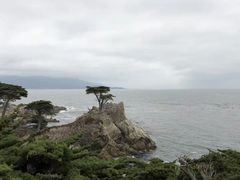 -小巴塞罗那海滩