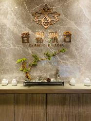 -香榭丽舍·海菲秀·皮肤管理痘敏肌修护