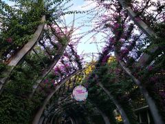 -布里斯班南岸公园