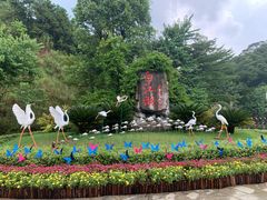 -广州白江湖森林公园