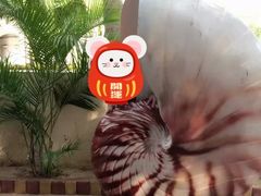 -亚龙湾海底世界