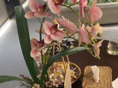 -施奈儿.洗头頭療.按摩SPA.采耳(上梅林店)