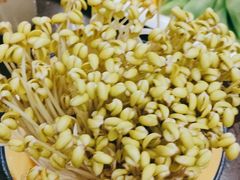-巴倒烫陆派火锅山庄(南山总店)