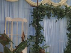-宝燕海鲜(好爱店)