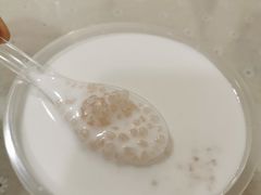 椰汁西米露-老周记顺德双皮奶