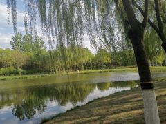 -大兴滨河森林公园