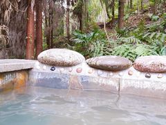 -花水湾第一村温泉大酒店