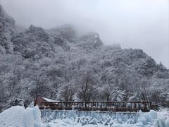 -青峰峡国家森林公园