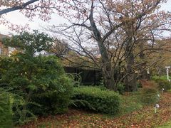 -金泽21世纪美术馆