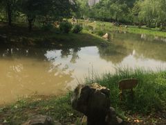 -堤角公园
