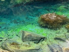 -叠溪松坪沟景区