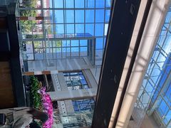 -上海外滩茂悦大酒店