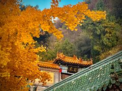 -千佛山风景名胜区