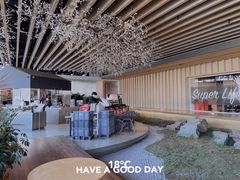 -Seesaw Coffee(朝阳大悦城店)
