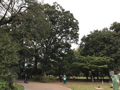 -三鹰之森吉卜力美术馆