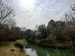 -西溪国家湿地公园