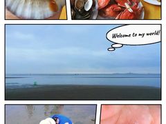 -东戴河风景区