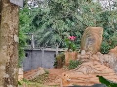 -海南热带野生动植物园