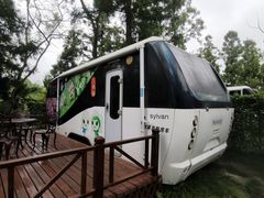 -东平国家森林公园