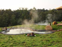 -东海森林温泉度假酒店