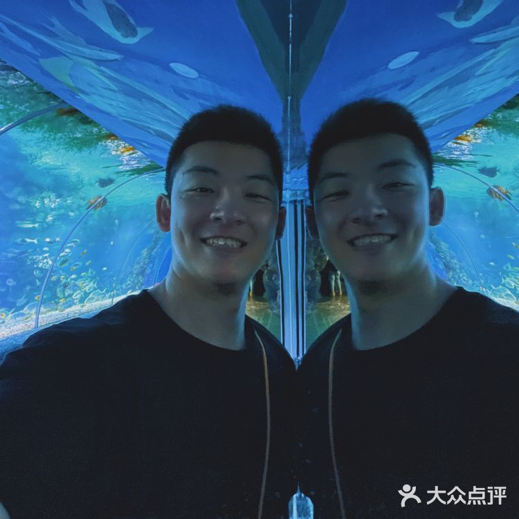 这个夏天这样玩｜大连老虎滩海洋公园攻略