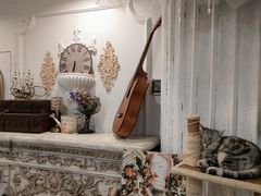 -共舞时光猫咖·狗咖(新街口店)