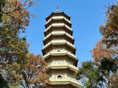 -灵谷景区