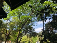 -欣怡茶庄·始于1999(梅家坞店)