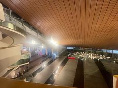 -合肥大剧院