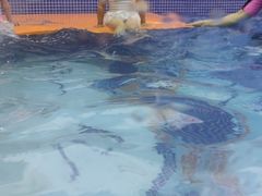 -小伢儿水中体适能俱乐部(中泰店)