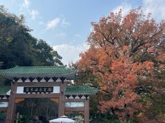 -广东温泉宾馆