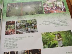 -绿光森林餐厅