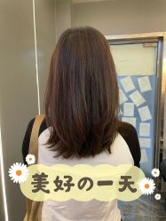 -MY女士男士短发设计