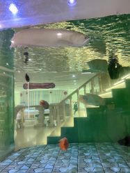 -五洲金行FIDIMO(五洲黄金大厦店)